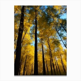 Autumn Trees In The Forest 6 Canvas Print