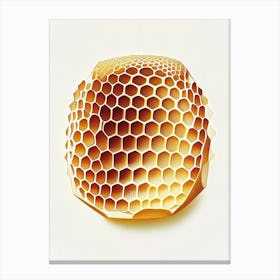 Close Up Of Honeycomb 3 Vintage Canvas Print