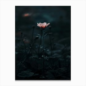 Dark Flower 32 Canvas Print