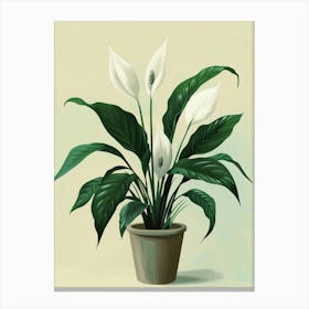 Peace Lily Plant Minimalist Illustration 5 Canvas Print