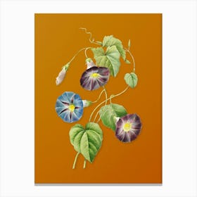 Vintage Morning Glory Botanical on Sunset Orange n.0157 Canvas Print