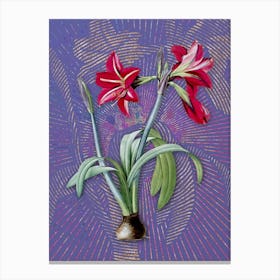 Vintage Brazilian Amaryllis Botanical Illustration on Veri Peri n.0887 Canvas Print