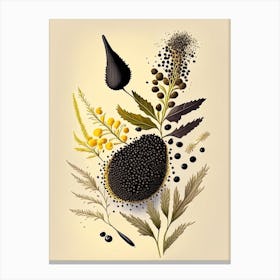 Black Mustard Seeds Spices And Herbs Retro Drawing 3 Canvas Print