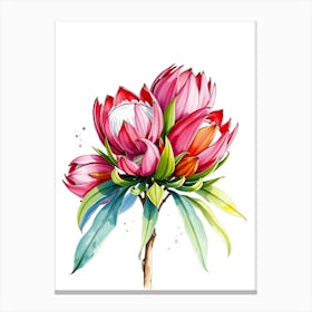 Protea Painting Canvas Print