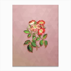 Vintage Rose Clare Flower Botanical Art on Crystal Rose n.0427 Canvas Print