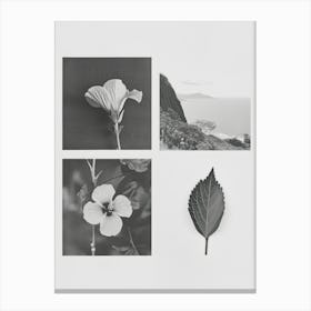 Hibiscus Flower Photo Collage 3 Canvas Print