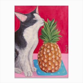 Cat With Pineapple Canvas Print