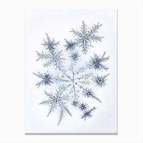 Fernlike Stellar Dendrites, Snowflakes, Quentin Blake Illustration 2 Canvas Print