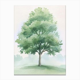 Paulownia Tree Atmospheric Watercolour Painting 1 Canvas Print