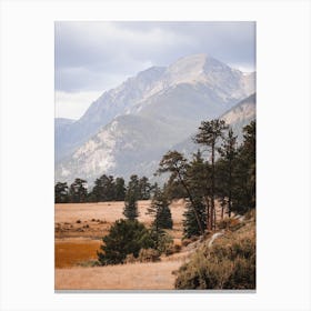 Mountain Meadow Canvas Print