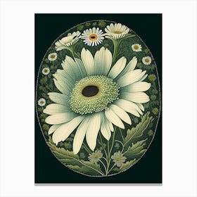 Daisy 3 Floral Botanical Vintage Poster Flower Canvas Print