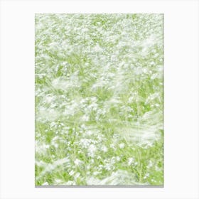 Long exposure movement - white flowers in a green spring field in motion - summer nature and travel photography by Christa Stroo Photography Canvas Print