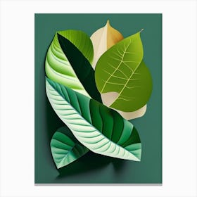 Yerba Mate Leaf Vibrant Inspired 1 Canvas Print