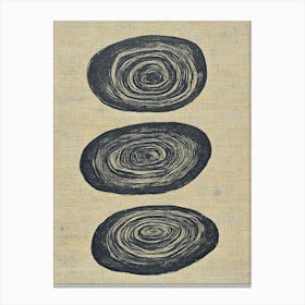 Three Circles 4 Canvas Print