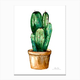 Aloe vera plant. Green plant. Beautiful plant. Thorns plant. Aloe vera flowers.18 Canvas Print