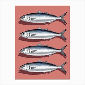 Sardines Canvas Print