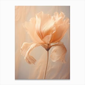 Boho Dried Flowers Tulip 4 Canvas Print