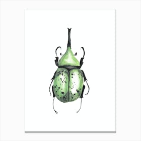 Rhinoceros Beetle Canvas Print