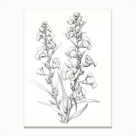 Snapdragons Flower Vintage Botanical 2 Canvas Print