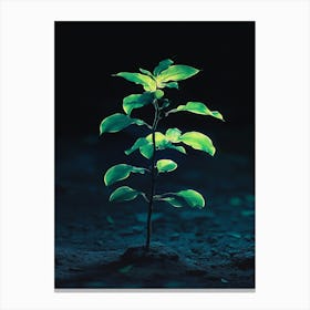 Tree In The Dark 8 Canvas Print