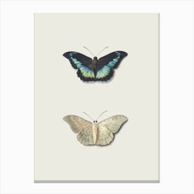 Butterflies Farmhouse Canvas Print
