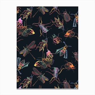 Insects Black Canvas Print