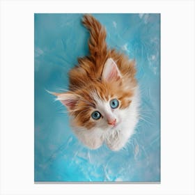 Cute Kitten With Blue Eyes Canvas Print