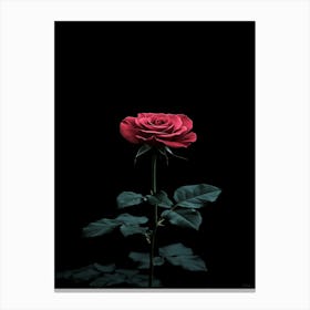 Dark Rose 61 Canvas Print