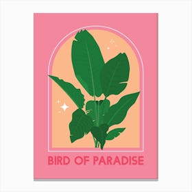 Bird Of Paradise Canvas Print