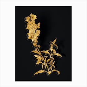 Vintage Red Dragon Flowers Botanical in Gold on Black n.0086 Canvas Print
