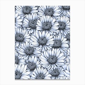 Chrysanthemum Flowers Line Drawing Canvas Print