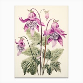Katakuri Dogtooth Violet 1 Vintage Japanese Botanical Canvas Print