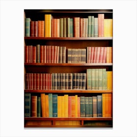 Library Bookshelf Canvas Print