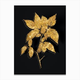 Vintage American Hophornbeam Botanical in Gold on Black n.0072 Canvas Print