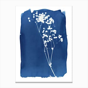 Flower Stems Cyanotype Canvas Print