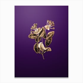 Gold Botanical North West Honeysuckle Flower on Royal Purple n.0143 Canvas Print