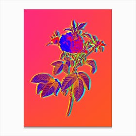 Neon Pink Agatha Rose Botanical in Hot Pink and Electric Blue n.0408 Canvas Print