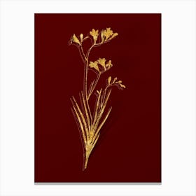 Vintage Freesia Botanical in Gold on Red n.0566 Canvas Print