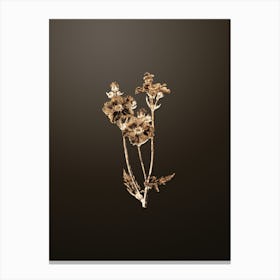 Gold Botanical Chilian Guem Flower on Chocolate Brown Canvas Print