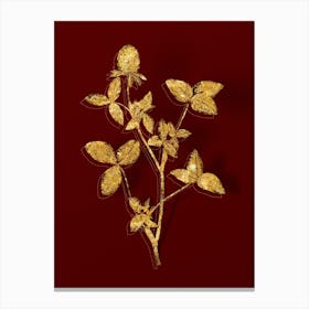 Vintage Pink Clover Botanical in Gold on Red n.0250 Canvas Print