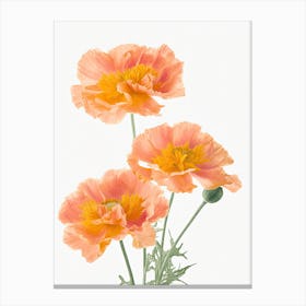 Marigold Flowers Acrylic Painting In Pastel Colours 7 Canvas Print