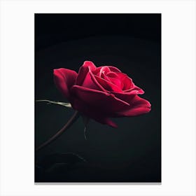 Rose Wallpaper 3 Canvas Print