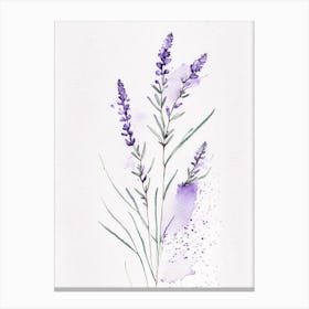 Lavender Herb Minimalist Watercolour 1 Canvas Print