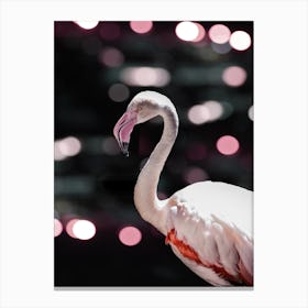 Disco Flamingo Canvas Print