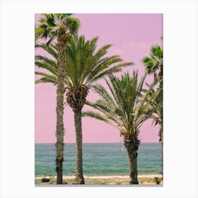 Tropical Palm Trees Canvas Print