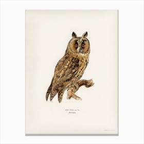 Asio Otus Owl, The Von Wright Brothers Canvas Print