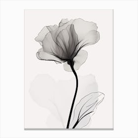 Gladioli Line Art Flowers Illustration Neutral 4 Canvas Print