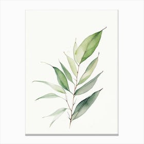 Marsh Tea Leaf Minimalist Watercolour Canvas Print