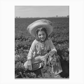 Agricultural Worker In The Carrot Field, Yuma County, Arizona By Russell Lee Canvas Print