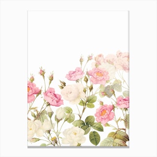 Summer Redoute Vintage Roses Garden Canvas Print